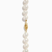 14K Yellow Gold Cultured Freshwater Pearl 3-Piece Box Set