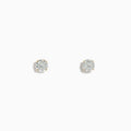 The 14K Yellow Gold Diamond Solitaire Stud Earrings 1.00 TCW feature round, clear diamonds set in yellow gold, shown against a plain white background.