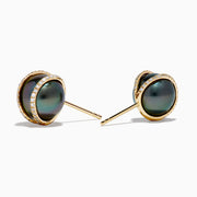 14K Yellow Gold Black Tahitian Pearl and Diamond Earrings: each stud features a black Tahitian pearl accented by a curved 14K yellow gold and diamond band, displayed on a white background.