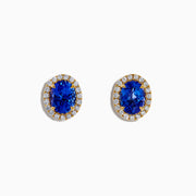 The Nahla 14K Yellow Gold Tanzanite and Diamond Stud Earrings feature oval blue tanzanites each encircled by a halo of diamonds, beautifully displayed on a white background.