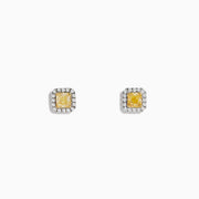 The Canare 18K Two-Tone Gold Cushion Cut Yellow Diamond Halo Stud Earrings feature yellow diamonds bordered by small white stones, shown against a plain white background.