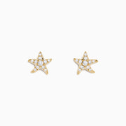 The 14K Yellow Gold Diamond Starfish Stud Earrings feature sparkling diamonds in a starfish design, shown on a white background.
