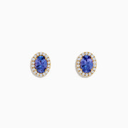 The Nahla 14K Yellow Gold Tanzanite and Diamond Stud Earrings feature oval blue tanzanites haloed by small diamonds, set in yellow gold and shown on a white background.
