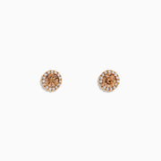The 14K Rose Gold Brown and White Diamond Stud Earrings feature a central brown and white diamond, surrounded by a halo of clear stones, set in rose gold on a white background.