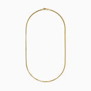 The Men's 14K Yellow Gold Hollow Round Box 20" Necklace features closely linked rectangular gold links in a smooth, elegant curve, shown against a white background.