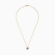The Seaside 14K Yellow Gold Multi Sapphire Starfish Pendant features a delicate gold chain with a sapphire starfish-shaped pendant adorned with multicolored gemstones, shown elegantly against a white background.
