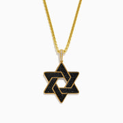 The Novelty 14K Yellow Gold Black and White Diamond Star of David Pendant features a yellow gold chain and pendant with diamond accents, displayed against a white background.