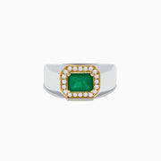 The 14K White & Yellow Gold Emerald and Diamond Ring features a rectangular emerald framed by small white diamonds on a wide, polished gold band.