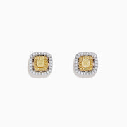 The Canare 18K Two Tone Gold Double Halo Yellow Diamond Stud Earrings (0.76 TCW) feature a cluster of yellow diamonds at the center, bordered by small white stones, set against a plain white background.