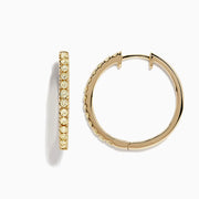 The Canare 14K Yellow Gold Yellow Diamond 7/8 Hoop Earrings, 0.57 TCW, are shown vertically against a white background with soft shadows.
