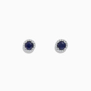 The Royale Bleu 14K White Gold Sapphire & Diamond Stud Earrings, 1.27 TCW, feature deep blue round sapphires encircled by a halo of diamonds and are shown on a white background.