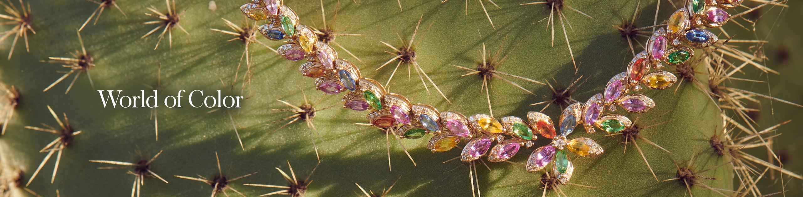 A colorful gemstone necklace draped over a green cactus, with the text World of Color on the left side of the image.