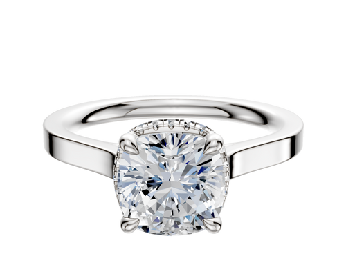 Platinum 4 Prong Collar Cathedral Flat 2.0mm Engagement Ring