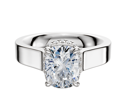 Platinum 4 Prong Collar Cathedral Flat 4.0mm Engagement Ring