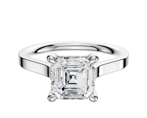 Platinum 4 Prong Hidden Halo Cathedral Flat 2.0mm Engagement Ring
