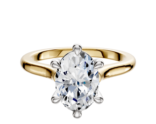 18K Two Tone 6 Prong Basket Cathedral Dome 2.0mm Engagement Ring