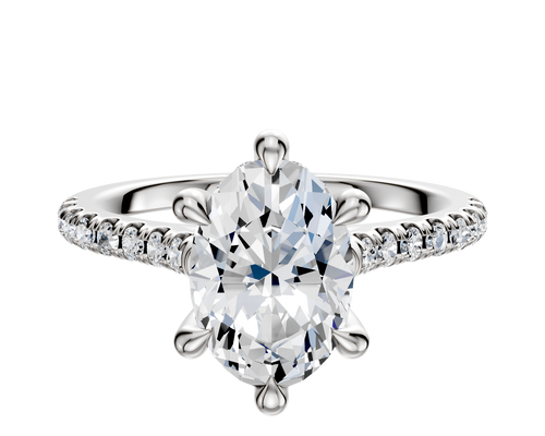 Platinum 6 Prong Hidden Halo Cathedral Dome 1-Row-Pave 2.5mm Engagement Ring