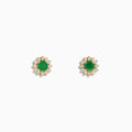 A pair of 14K Yellow Gold Emerald and Diamond Stud Earrings (0.72 TCW) with round emerald centers and a halo of diamonds, displayed on a white background.