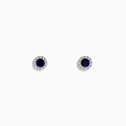 The Royale Bleu 14K White Gold Sapphire & Diamond Stud Earrings, 0.47 TCW, feature round dark blue sapphires encircled by a halo of diamonds, displayed against a plain white background.