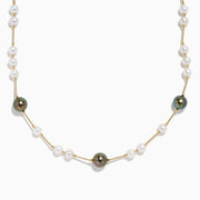 The 14K Yellow Gold Tahitian and Freshwater Pearl Necklace features alternating white and dark pearls on a delicate gold chain, beautifully displayed against a white background.