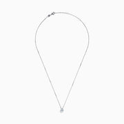 The Lab Grown Diamond Earring and Necklace Set in 14K White Gold features a heart-shaped diamond pendant on a silver necklace and matching heart-shaped diamond stud earrings, all showcased on a white background.