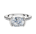 A platinum bezel east/west cathedral dome engagement ring with a 2.5mm band and a 1-row pave design.