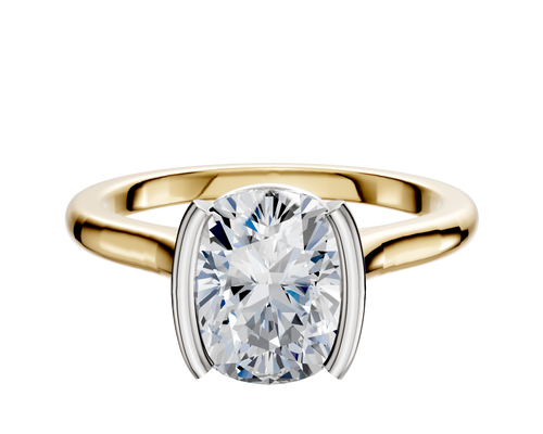 14K Two Tone Bezel Half Bezel North/South Cathedral Dome 2.0mm Engagement Ring