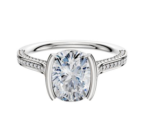 Platinum Bezel Half Bezel North/South Cathedral Flat 3-Row-Pave 2.0mm Engagement Ring