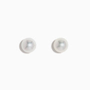 The 15K Yellow Gold Cultured Akoya Pearl Stud Earrings are shown on a plain white background.