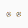 Star Lab Grown Diamond Halo Stud Earrings in 18K Yellow Gold feature round clear gemstones encircled by a halo of small lab diamonds, styled on a white background.