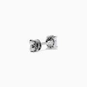 The Star Lab Grown Diamond Stud Earrings in 18K White Gold feature round lab diamonds in classic prong settings, elegantly displayed against a plain white background.