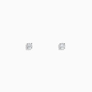 The 14K White Gold Diamond Solitaire Stud Earrings, 0.25 TCW, feature small round diamonds in a classic prong setting, displayed on a plain white background.