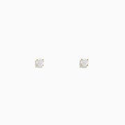 A pair of 14K Yellow Gold Diamond Solitaire Stud Earrings, 0.25 TCW, shown against a plain white background.