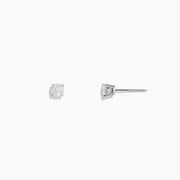 14K White Gold Diamond Solitaire Stud Earrings, 0.50 TCW—elegant prong-set round diamond studs on a white gold setting.