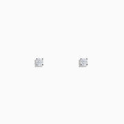 Displayed on a white background, the 14 Karat White Gold Diamond Stud Earrings feature 0.20TCW round diamonds set in simple prongs.