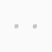 14 Karat White Gold Diamond Stud Earrings with 0.33TCW round diamonds are displayed on a plain white background.