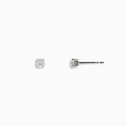 14 Karat White Gold Diamond Stud Earrings with 0.33TCW round diamonds are displayed on a plain white background.