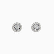 The Pave Classica 14K White Gold Diamond Halo Stud Earrings 0.98 TCW showcase a clear center stone surrounded by a sparkling diamond halo, all set in gleaming white gold and displayed on a plain white background.