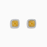 The Canare 18K Two Tone Gold White and Yellow Diamond Earrings feature a square shape with a yellow diamond center, bordered by white diamonds, shining elegantly against a plain white background.