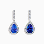 The Nahla 14K White Gold Tanzanite and Diamond Dangle Earrings feature pear-shaped blue Tanzanite gems encircled by diamonds, with a diamond-accented row extending up to the hooks for added elegance.