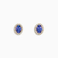 The Nahla 14K Yellow Gold Tanzanite and Diamond Stud Earrings feature oval blue tanzanites haloed by small diamonds, set in yellow gold and shown on a white background.