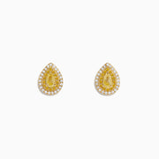 The 14K Yellow Gold White and Yellow Diamond Pear Stud Earrings feature teardrop shapes with double halos of white stones, capturing timeless elegance. Shown against a plain white background.
