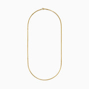 The Men's 14K Yellow Gold Hollow Box Chain Necklace 22" is displayed against a white background in a U-shape, highlighting its delicate, shiny links.