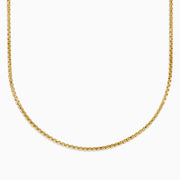 The Men's 14K Yellow Gold Hollow Box Chain Necklace 22" is displayed against a white background in a U-shape, highlighting its delicate, shiny links.