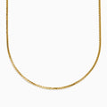 The Men's 14K Yellow Gold Hollow Round Box 20" Necklace features closely linked rectangular gold links in a smooth, elegant curve, shown against a white background.