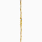 The Men's 14K Yellow Gold Hollow Round Box 20" Necklace features closely linked rectangular gold links in a smooth, elegant curve, shown against a white background.