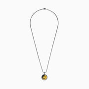 Mens Sterling Silver Sapphire and Yellow Gold Plated Lion Pendant necklace featuring a round lion design with a raised gold lions head on black, bordered by braided silver.