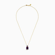 A 14K yellow gold necklace with a delicate chain, featuring an amethyst pendant with a rectangular purple gemstone and a smaller tanzanite stone set above it.