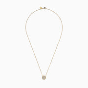 The D'Oro 14K Yellow Gold Diamond Disc Necklace features a dazzling round pendant set with sparkling diamonds, making it a stunning addition to your diamond necklace collection.
