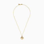 The 14K Yellow Gold Diamond Scallop Shell and Starfish Duo Pendant features a scallop shell and diamond-studded starfish on a fine gold chain, displayed against a white background.